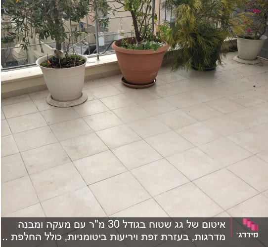 מרפסת עם רצפת אריחים וצמחים בעציצים